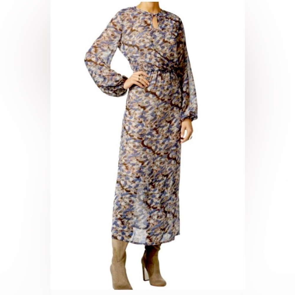Fair Child Sheer Printed Maxi Dress